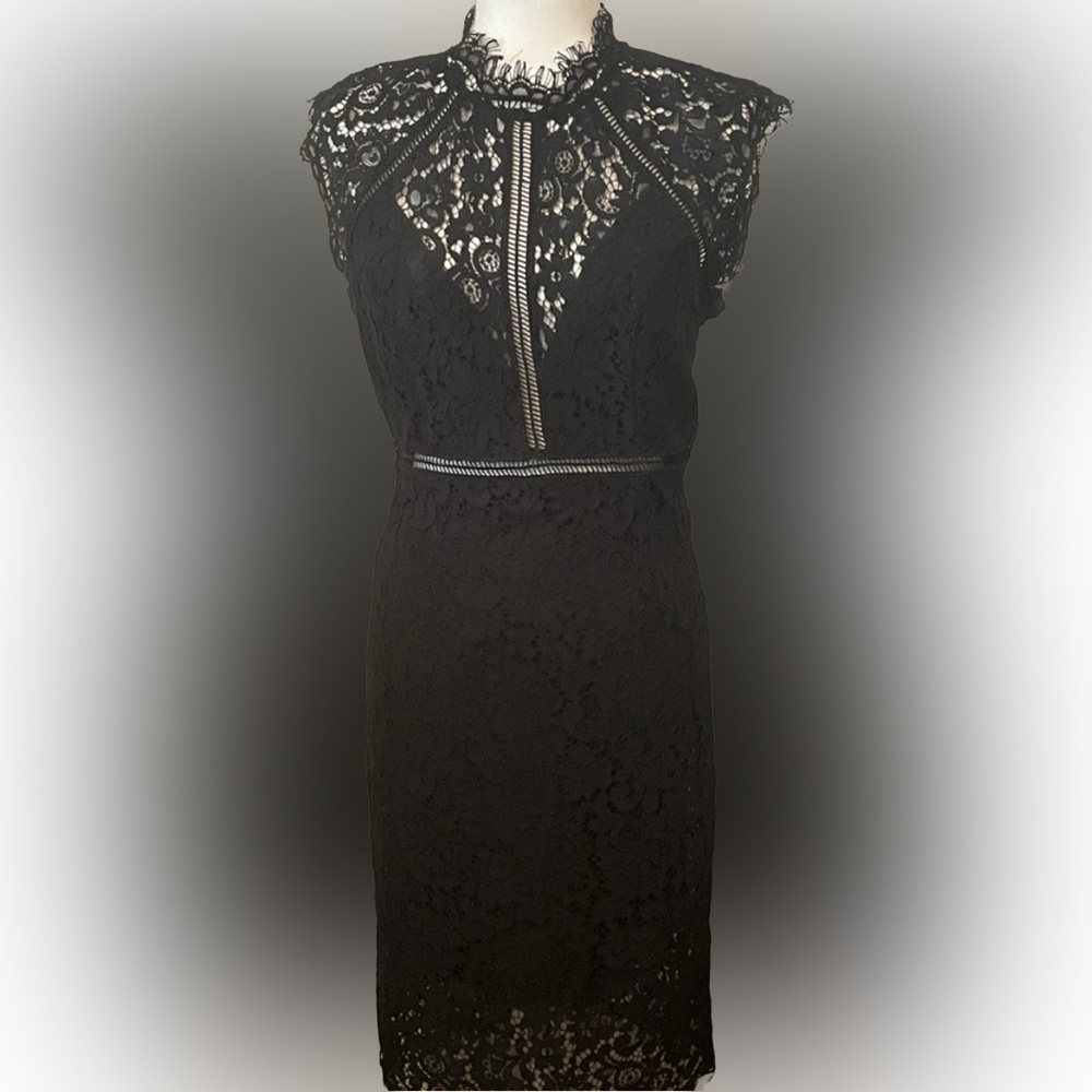 Bardot Sheath Dress, Size 6